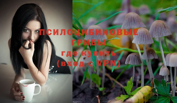 синтетический гашиш Арсеньев